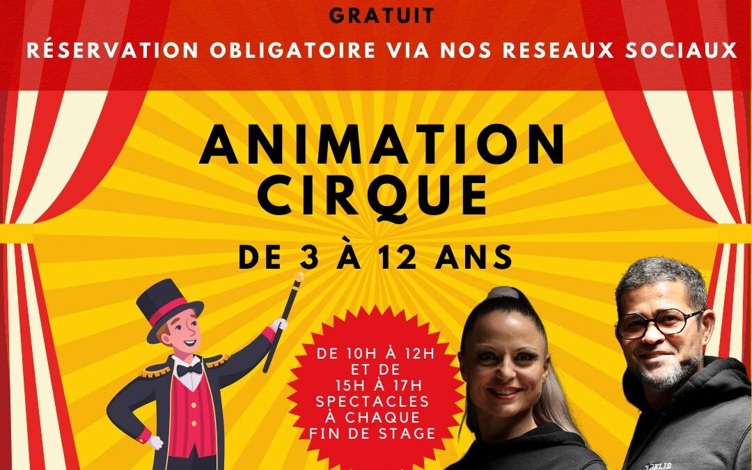 Stage de cirque