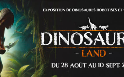 Dinosaures land